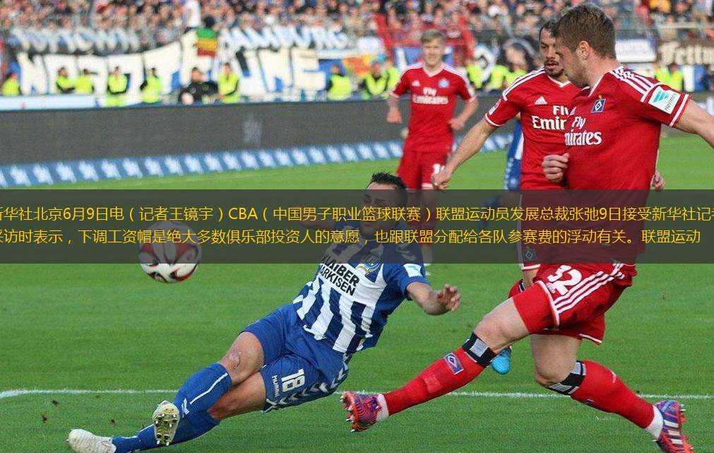 罗德里戈